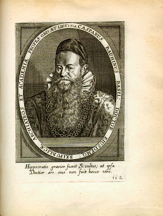 Bauhin, Kaspar (1560-1624); Mediziner, Botaniker = ii2